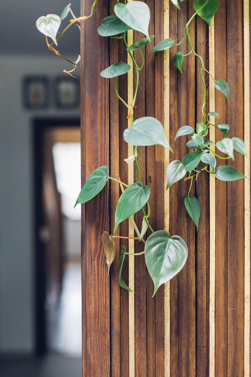 London Interior Design Services